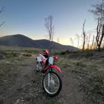 Nathan whelan - @nathanwhelan6 - Instagram
