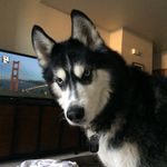 Nathan Whitman - @n8whitman13 - Instagram