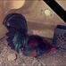 Nathan Whitt - Facebook