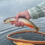Nathan WIGHT - @n.w.flyco - Instagram