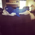 Nathan Wilcher - @nathan_wilcher - Instagram