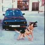 nate - @nathanwild05 - Instagram