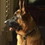 Nathan Micheal Willard - @nathan_willard31 - Instagram