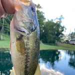Nathan Wills - @nathanwills4 - Instagram