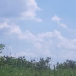 nathan wing - @wingnathan - Instagram