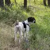 Nathan Winn - @nathan.winn1 - TikTok