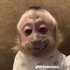Nathan.W - @nathan_winn13 - TikTok