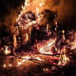 Nathan Witham - @witham.nathan - Instagram