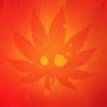 Nathan Wohlgemuth - @naynaywoogstown - Instagram