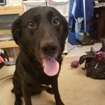 Nathan Woolley - @woolley.nathan - Instagram