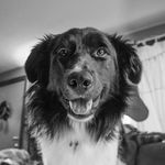 Nathan Woosley - @dogbreath21 - Instagram