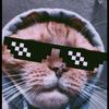 Nathan Zwickert - @nathan.zwickert - TikTok