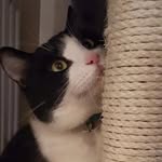 Nathan Zwickert - @nathanzwickert14 - Instagram
