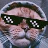Nathan Zwickert - @nathanzwickert7 - TikTok