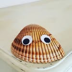 Nathanael Wright - @fluffyskitter - Instagram