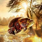 Nathaniel Ackley - Facebook