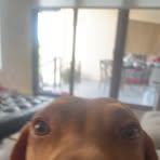 Nathaniel Alaniz - Facebook