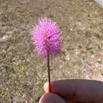 nate_90 - @nathaniel_alt33 - Instagram