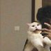 Nathaniel Asher - Facebook