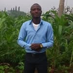 Nathaniel Babalola - @nathanielbabalola - Instagram