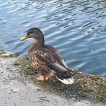 Nathaniel Barnard - @nathanielbarnard5 - Instagram