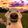 KurtBarz27 - @kurtnathanielbarr4 - TikTok