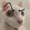 Nathaniel Barr - @nateb9218 - TikTok
