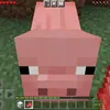 nathanielbarrera95 - @chikennuggs555bicscuit - TikTok