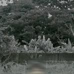 Nathaniel Basco - Facebook