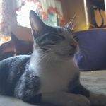 Nathaniel Beaver - @tabogski - Instagram