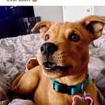 Nathaniel Berry - @nathaniel.berry.125 - Instagram