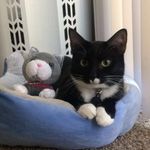 Nathaniel Beyer - @lunabewley - Instagram