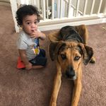 Nathaniel & Blue 👦🏽🐶 - @nate_n_hound - Instagram