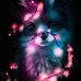 Nathaniel Boyer - Facebook