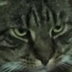 Nathaniel Nursey-Bray - @nathaniel_nursey_bray - Instagram