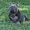 Nathaniel Britton - @nathaniel.britton - TikTok