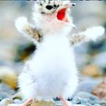 Nathaniel Burch - @nathaniel.burch.52 - Instagram