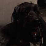Nathaniel Burch - @nathaniel_burch - Instagram
