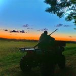 Nathaniel Burchat - @nathanielburchat - Instagram