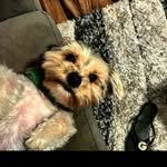 Nathaniel Cabrera - @llowkey_nathaniel_ - Instagram