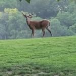 Nathaniel Camacho - @nathaniel.camacho - Instagram