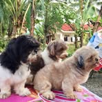 Barry Nathaniel Campo - Facebook