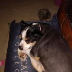 Nathaniel Chandler - Facebook