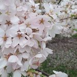 Nathaniel childs - @nathaniel_childs - Instagram