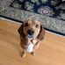 Nathaniel Childs - Facebook
