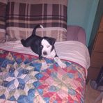 Nathaniel Chiles - Facebook