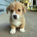 Nathaniel Chiu - Facebook