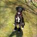 Nathaniel Clifford - Facebook