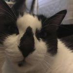 nathaniel conway - @bonchololol - Instagram