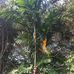 Nathaniel Kants - Facebook